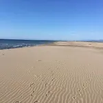 Les Vagues Du Sud *