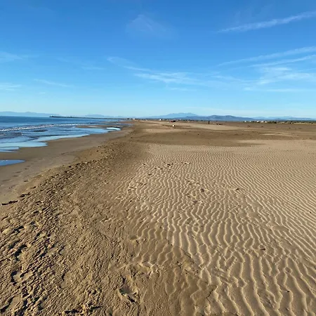 Les Vagues Du Sud Daire *